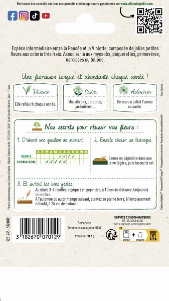 Fleurs - Viola Cornuta Variée - MEDIA_PACKAGING_VERSO
